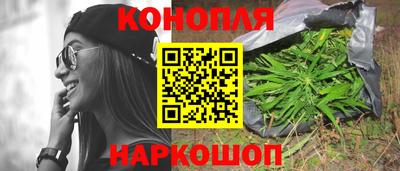 прущие грибы Мариинск