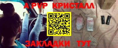 прущие грибы Мариинск