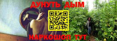 прущие грибы Мариинск