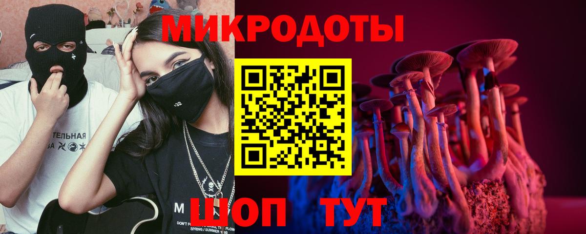 Ивантеевка  Галлюциногенные грибы Cubensis  Вход с VPN  Псилоцибиновые грибы мицелий 