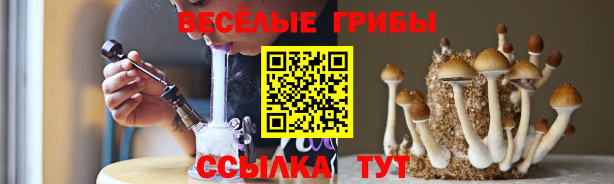 Галлюциногенные грибы мицелий Ивантеевка